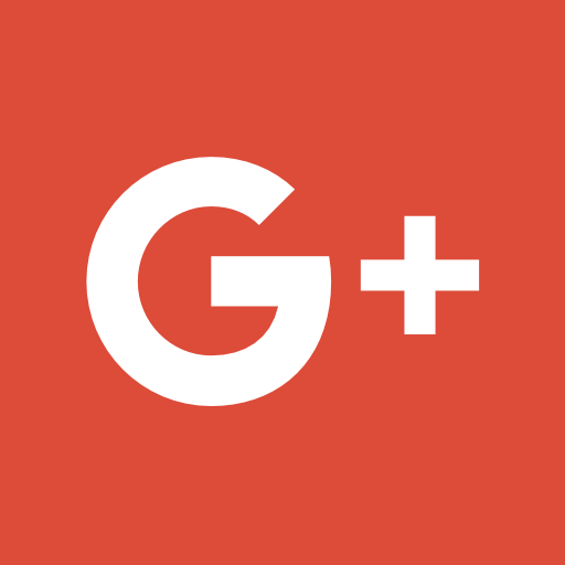 Icon Google Alt